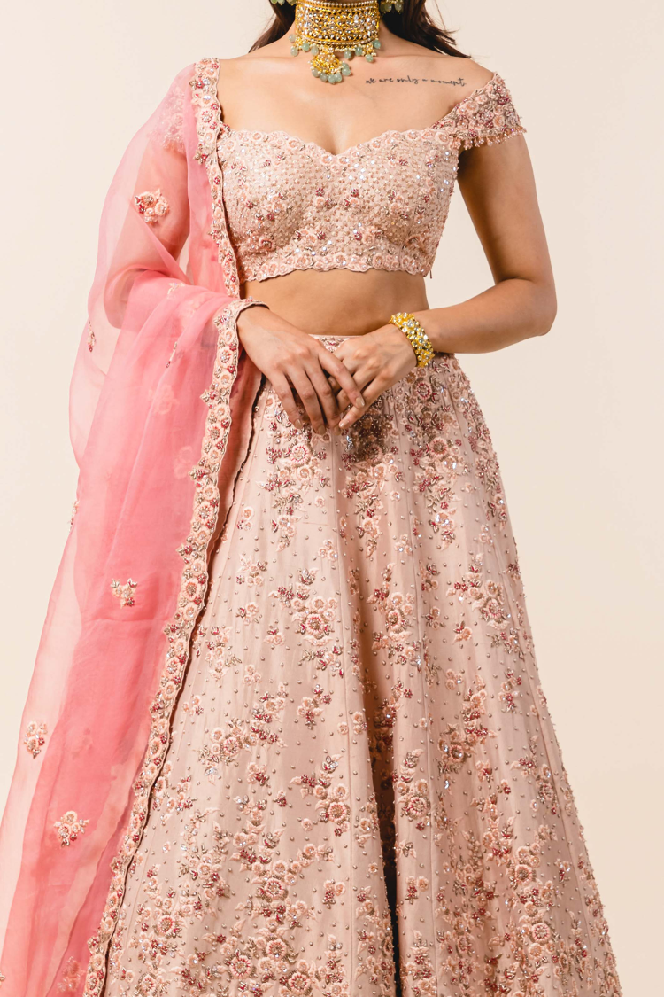 Nude Dupion Silk Lehenga Choli Set