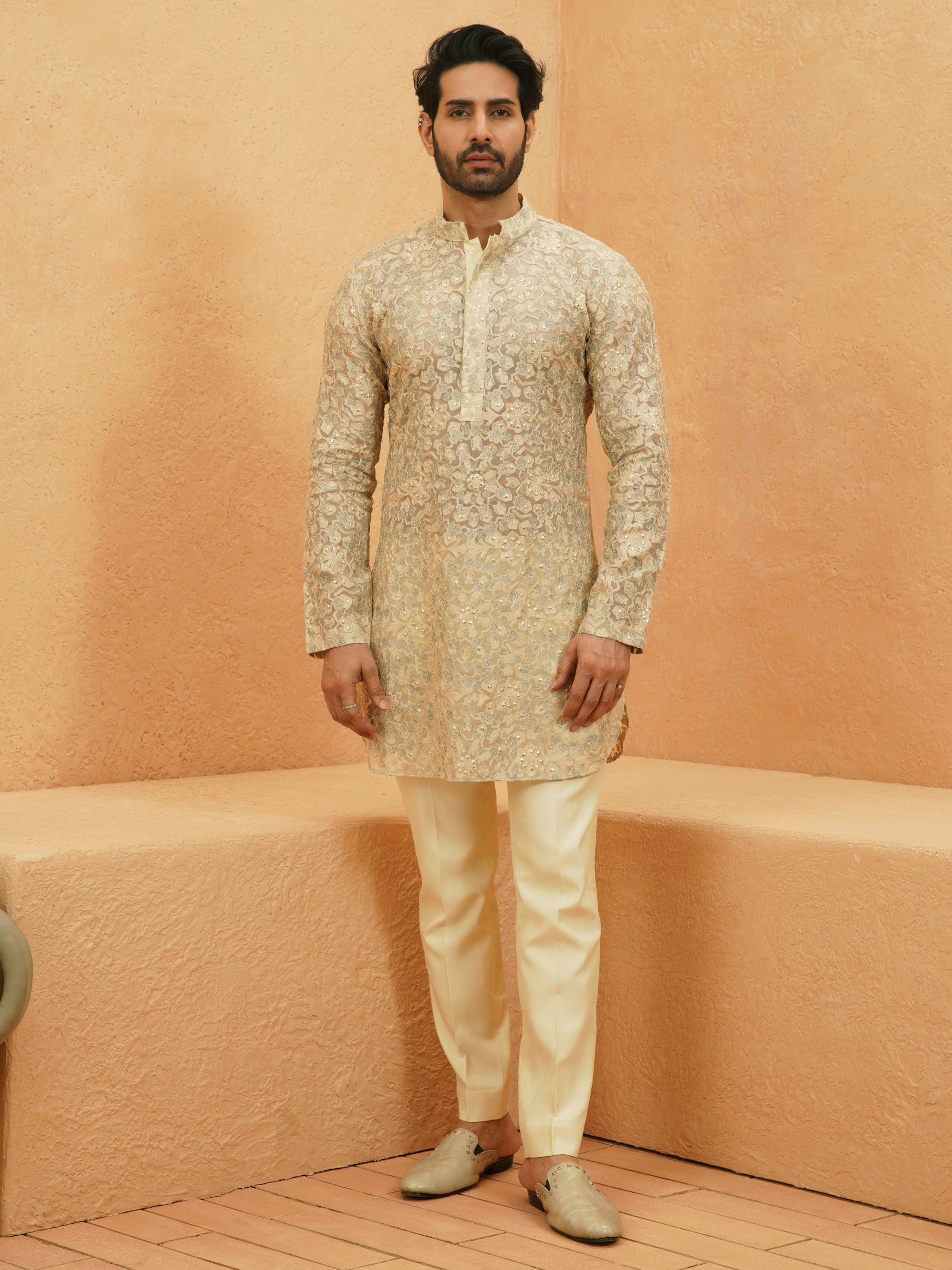 Omari Sheer Embellished Kurta Set