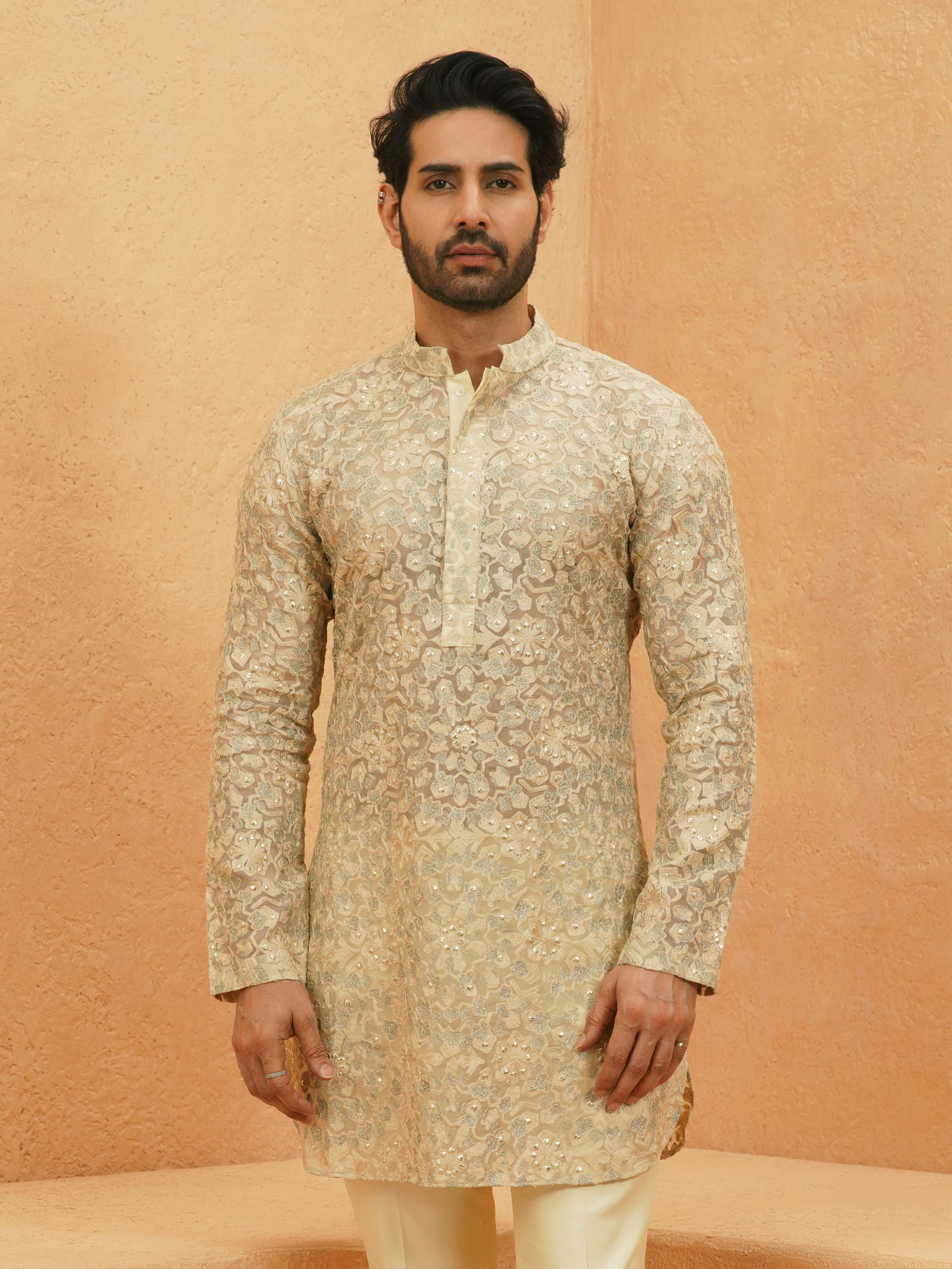 Omari Sheer Embellished Kurta Set