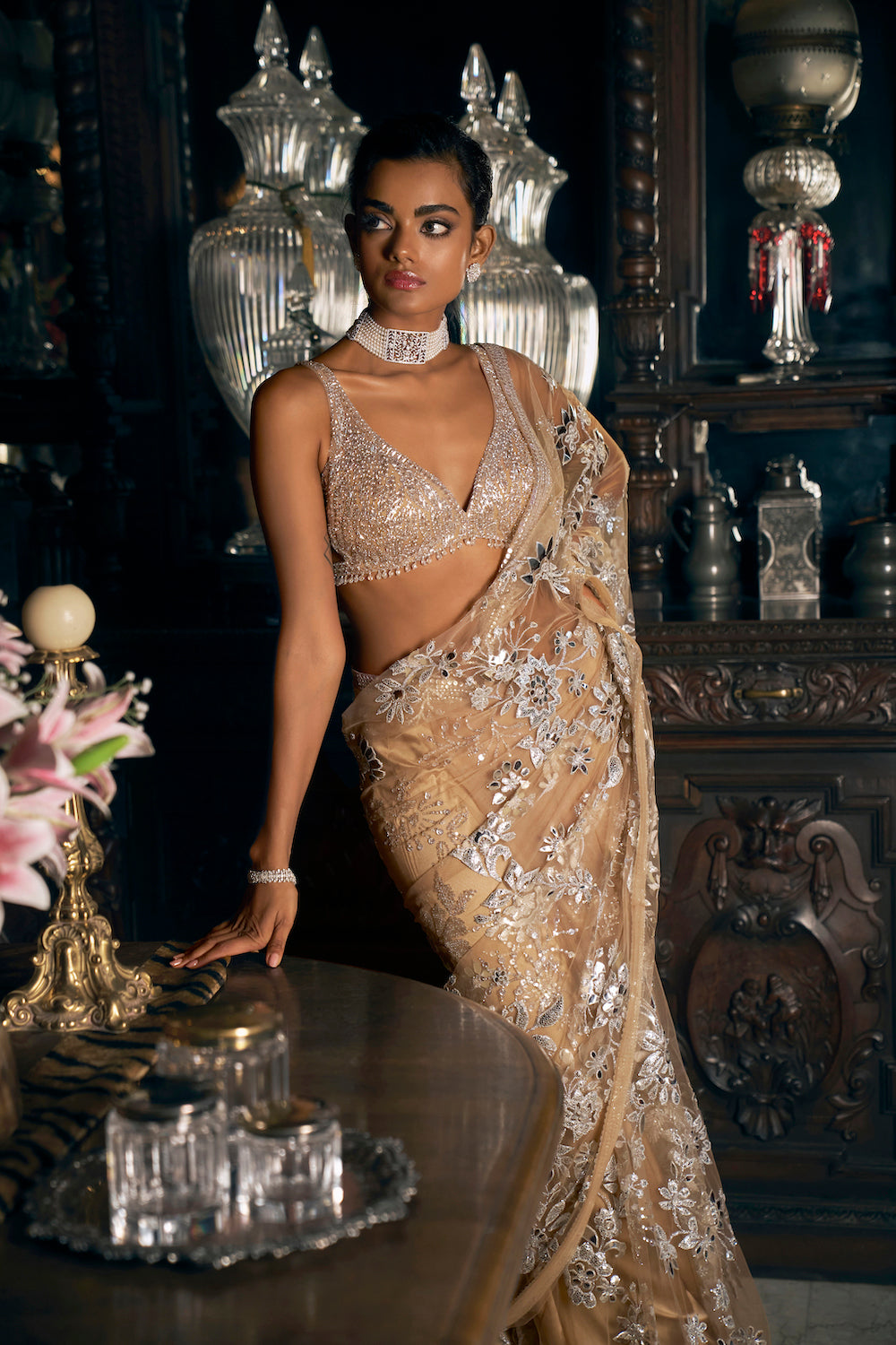 Manushi Chillar In Nude Silver Applique Saree