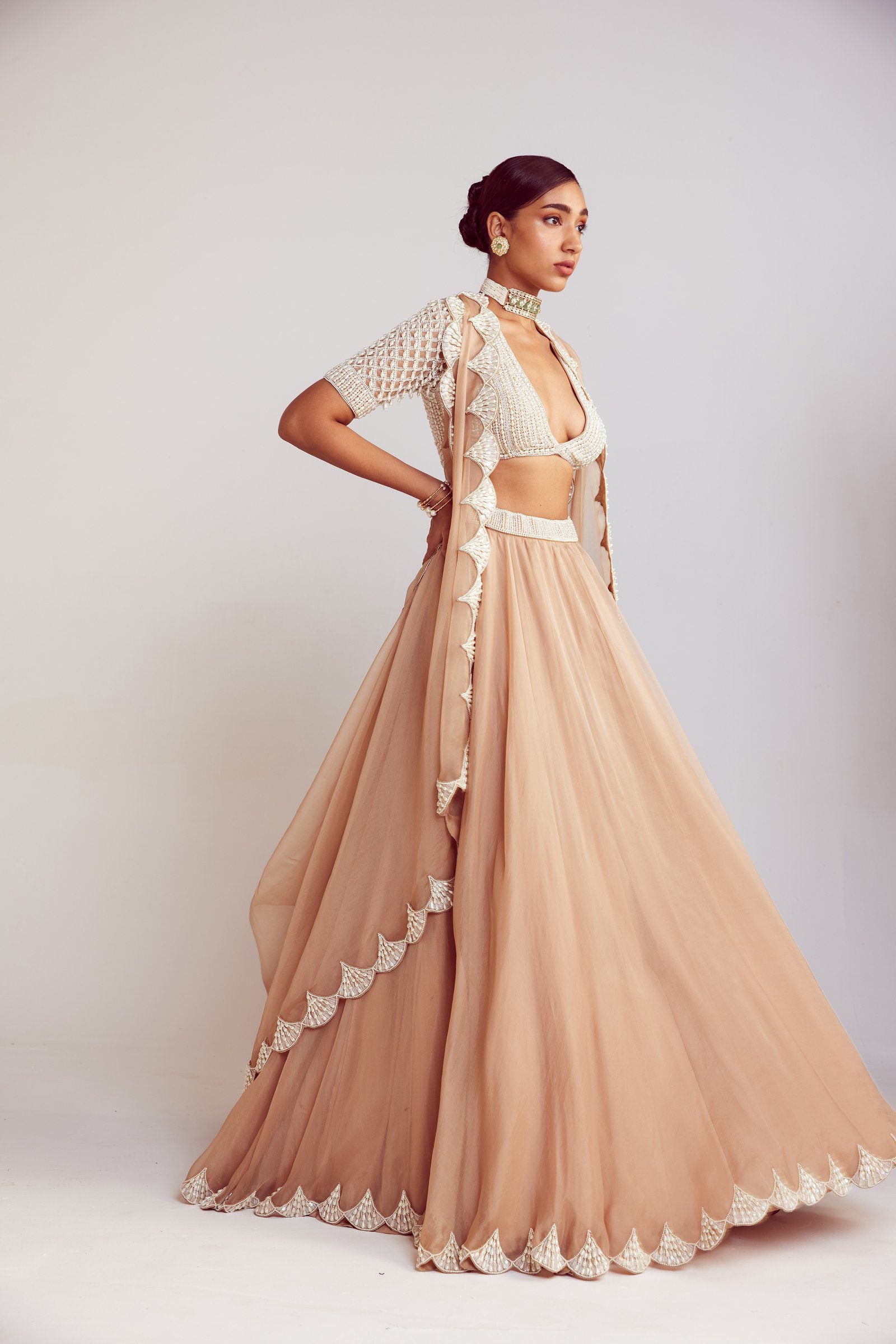 Vvani Vats,VAAW LH 2404,Beige Organza Lehenga Set
