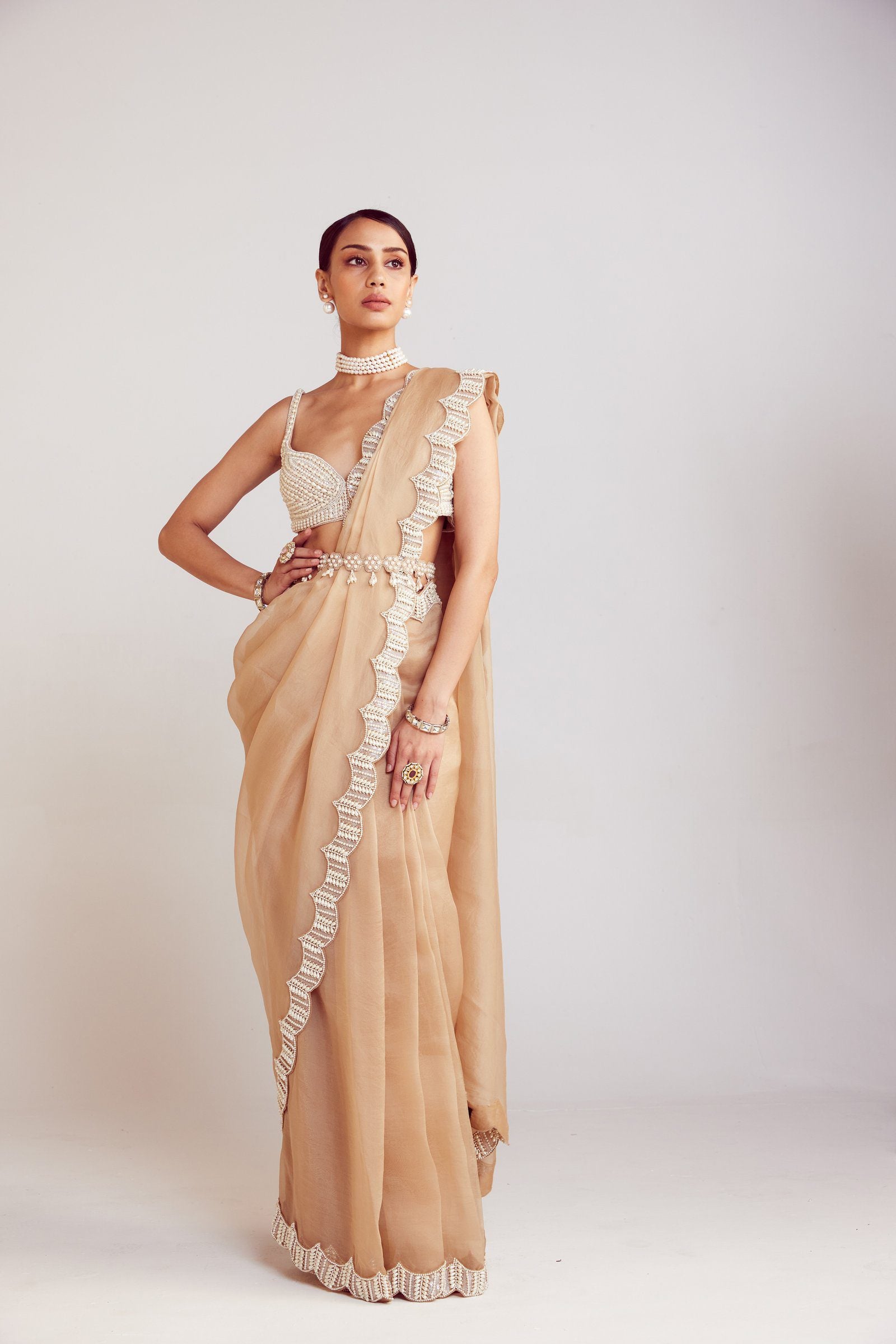 Vvani Vats,VAAW SR 2405,Beige Saree Set