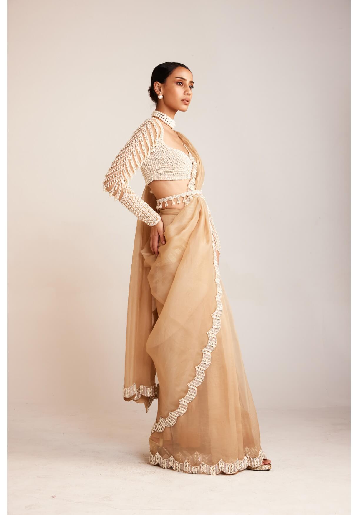 Vvani Vats,VAAW SR 2422,Beige Chandelier Drop Saree Set