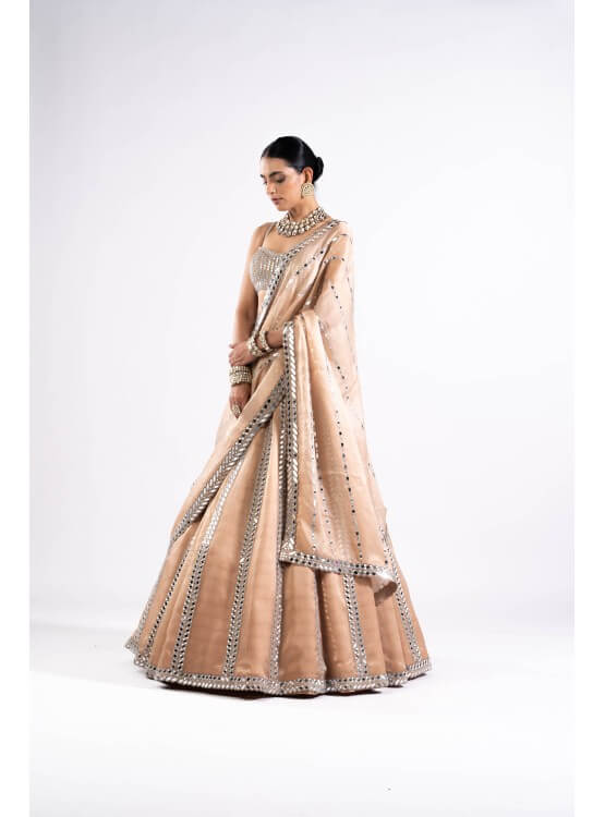 Vvani Vats,VASS LH 2325,Beige Mirror Seam Lehenga Set