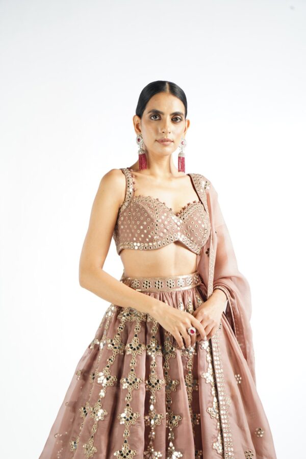 Vvani Vats,VAAW LH 2236,Deep Beige Chandelier Drop Lehenga Set