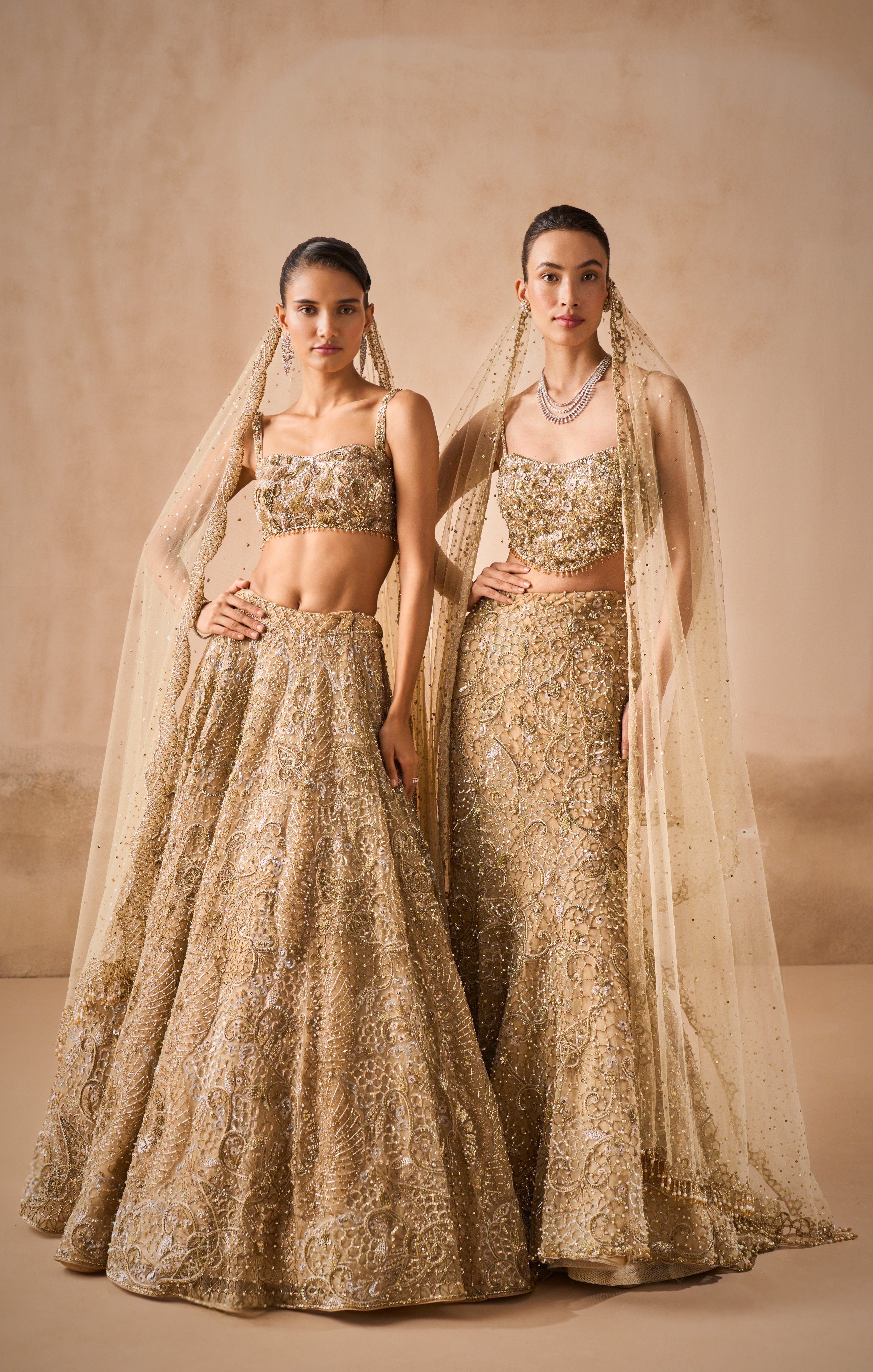 Beige Gold Tulle Sparkle Lehenga Set