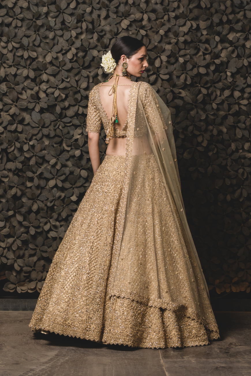 Gold Tulle Lehenga Choli Set