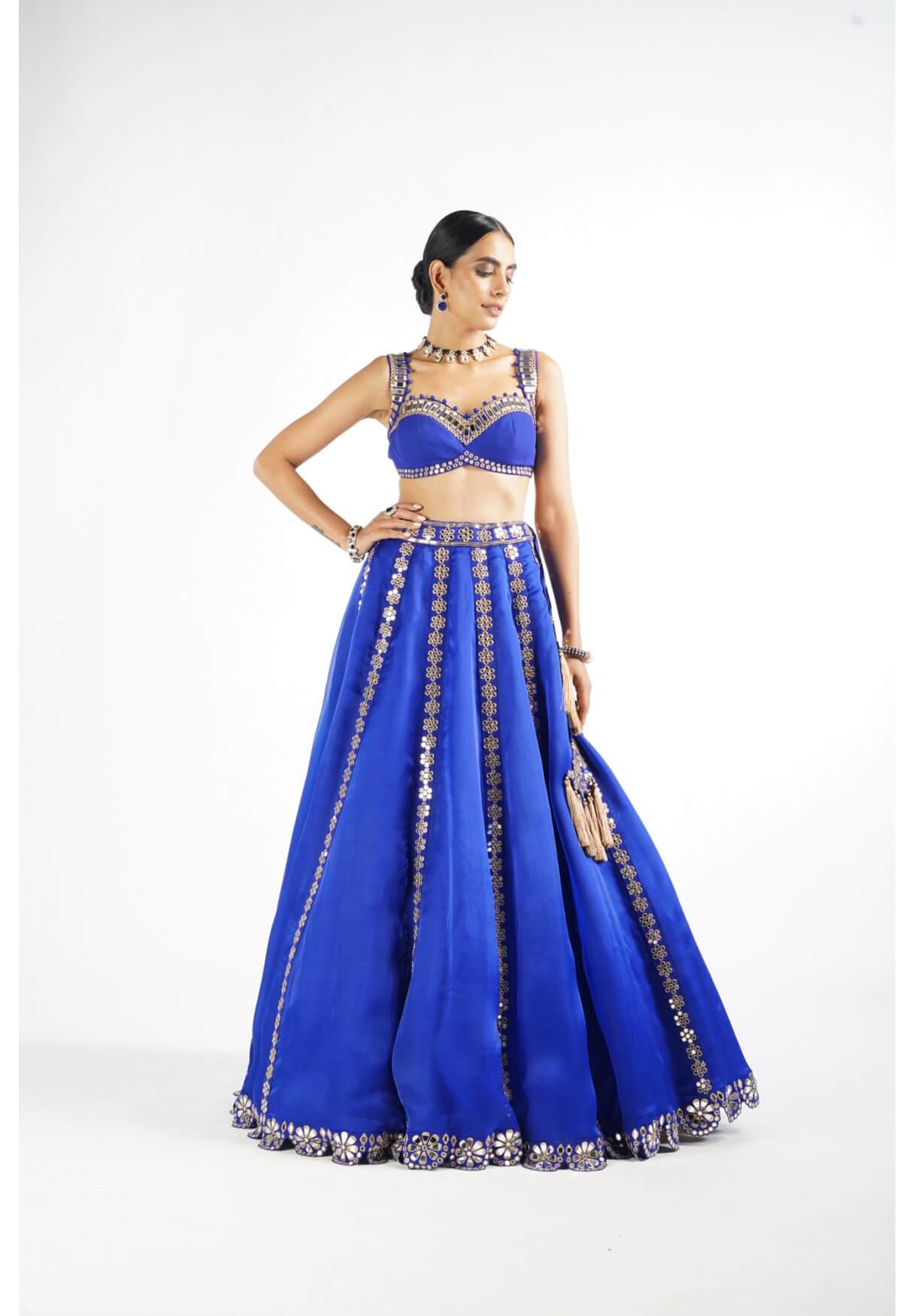 Vvani Vats,VAAW LH 2205,Royal Blue Flower Linear Lehenga Set