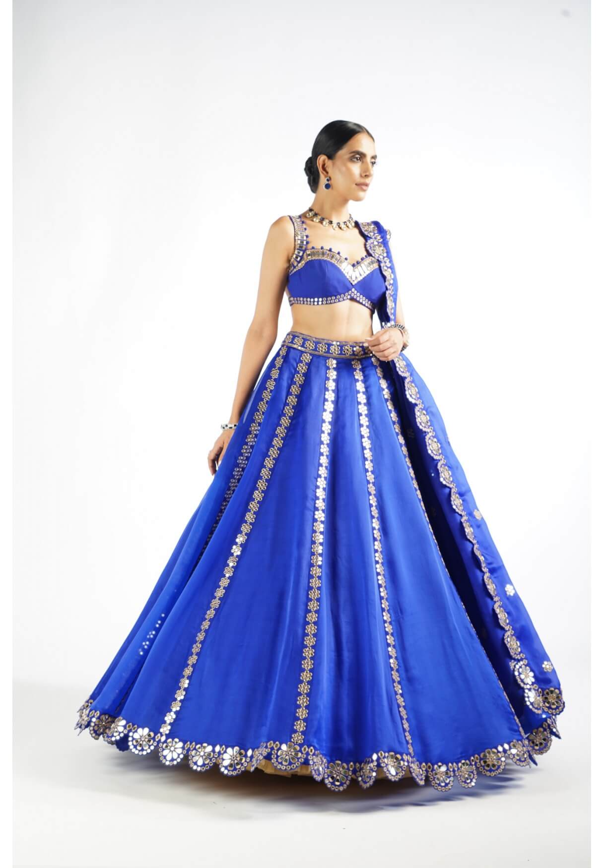 Vvani Vats,VAAW LH 2205,Royal Blue Flower Linear Lehenga Set