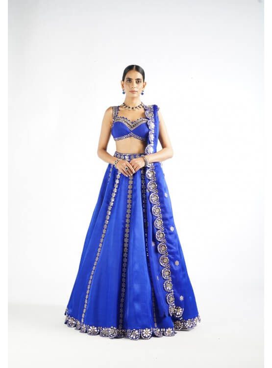 Vvani Vats,VAAW LH 2205,Royal Blue Flower Linear Lehenga Set