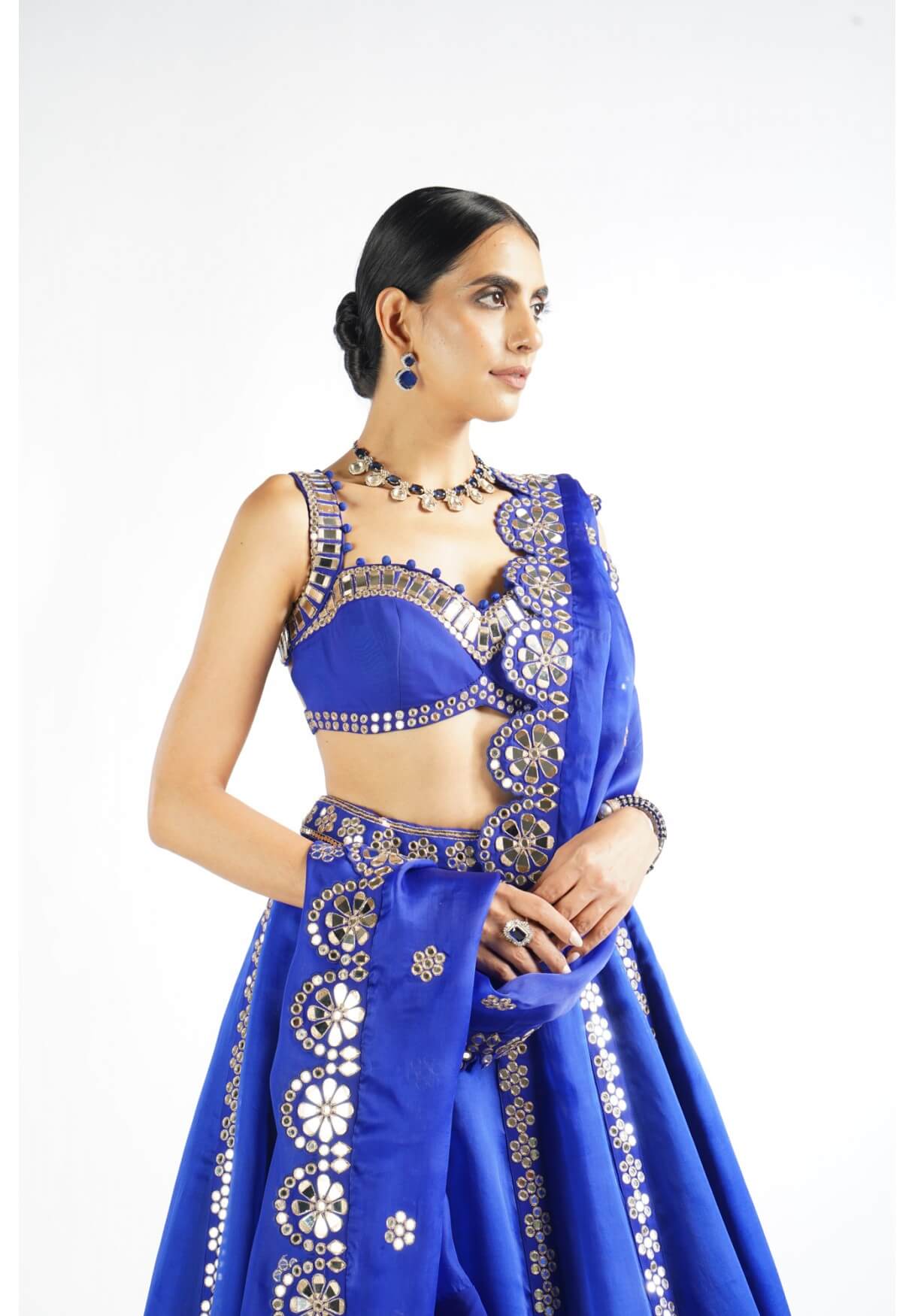 Vvani Vats,VAAW LH 2205,Royal Blue Flower Linear Lehenga Set