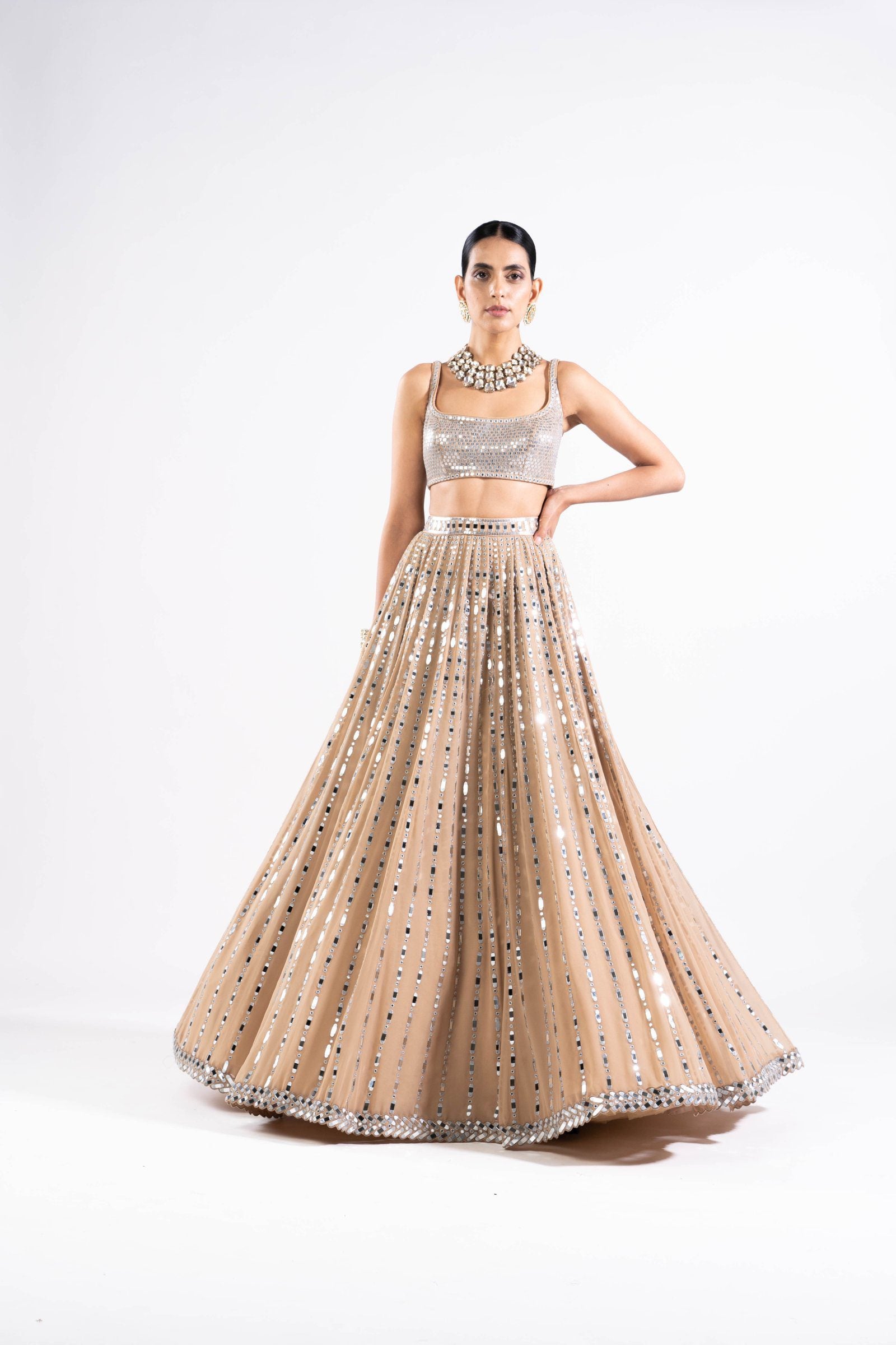 Vvani Vats,VASS LH 2323,Beige Linear Drop Lehenga With Metallic Blouse