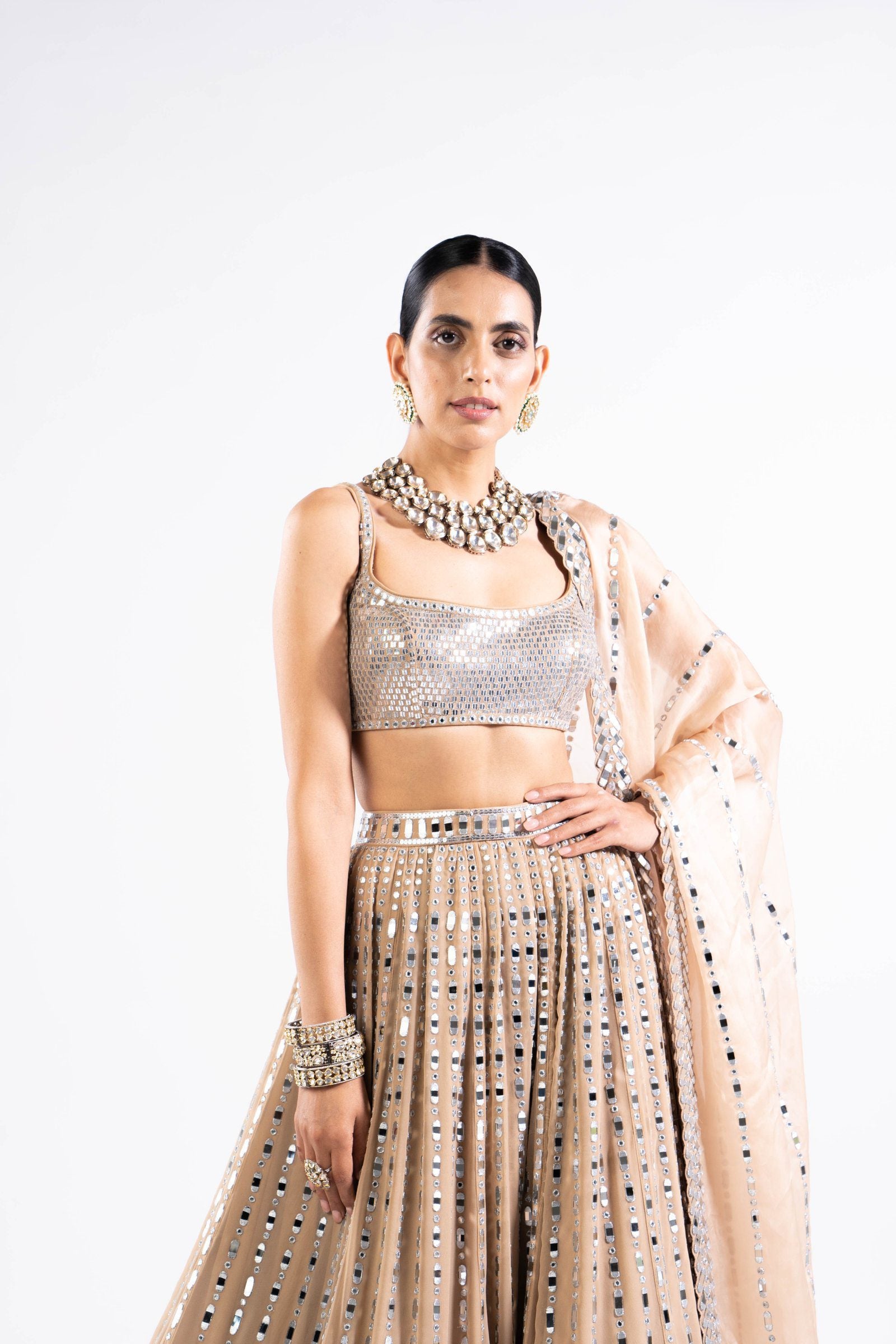 Vvani Vats,VASS LH 2323,Beige Linear Drop Lehenga With Metallic Blouse