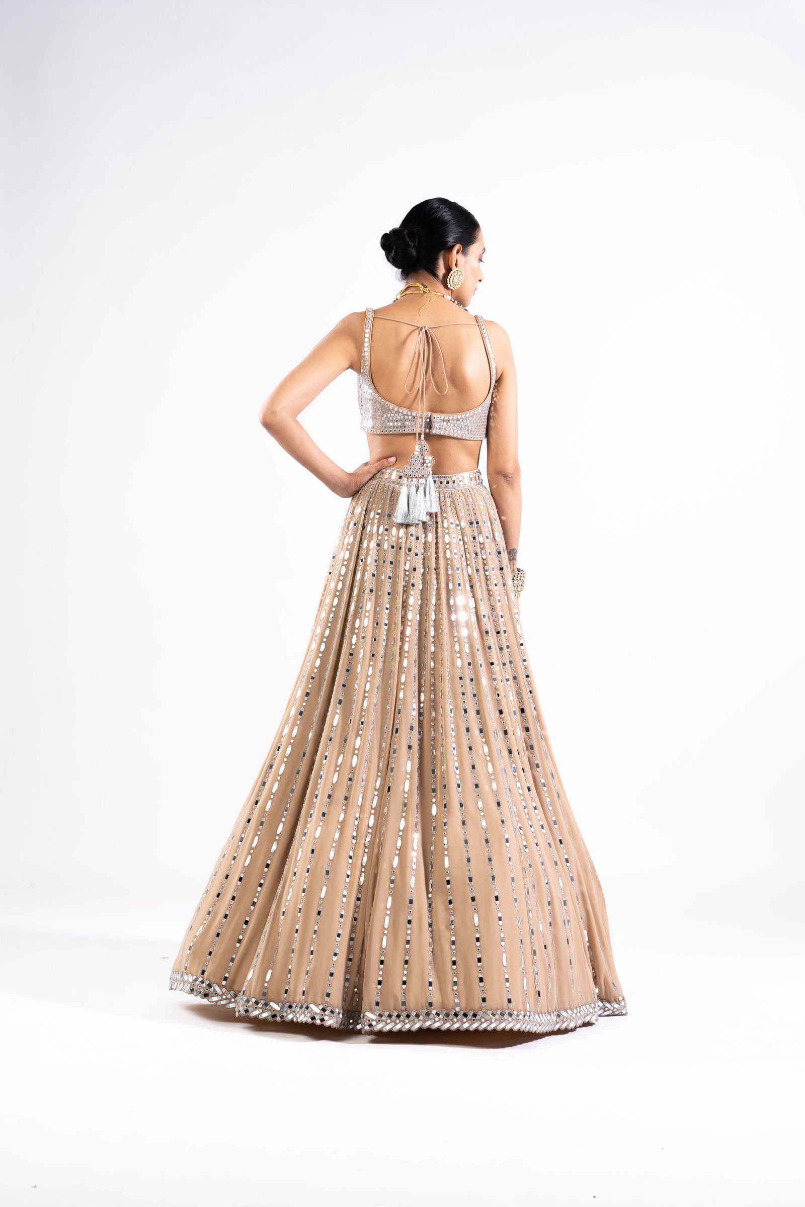 Vvani Vats,VASS LH 2323,Beige Linear Drop Lehenga With Metallic Blouse