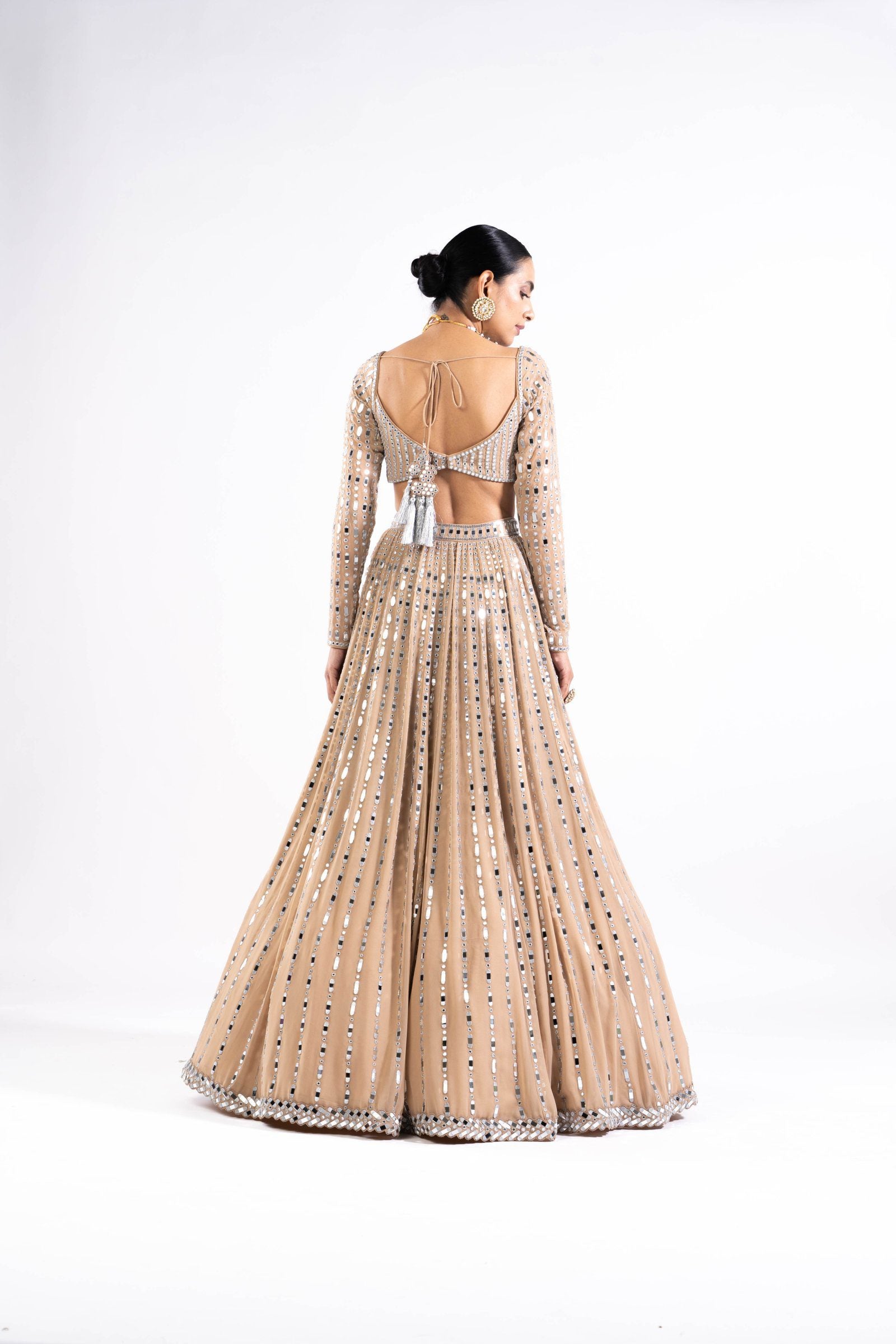 Vvani Vats,VASS LH 2324,Beige Linear Drop Lehenga Set