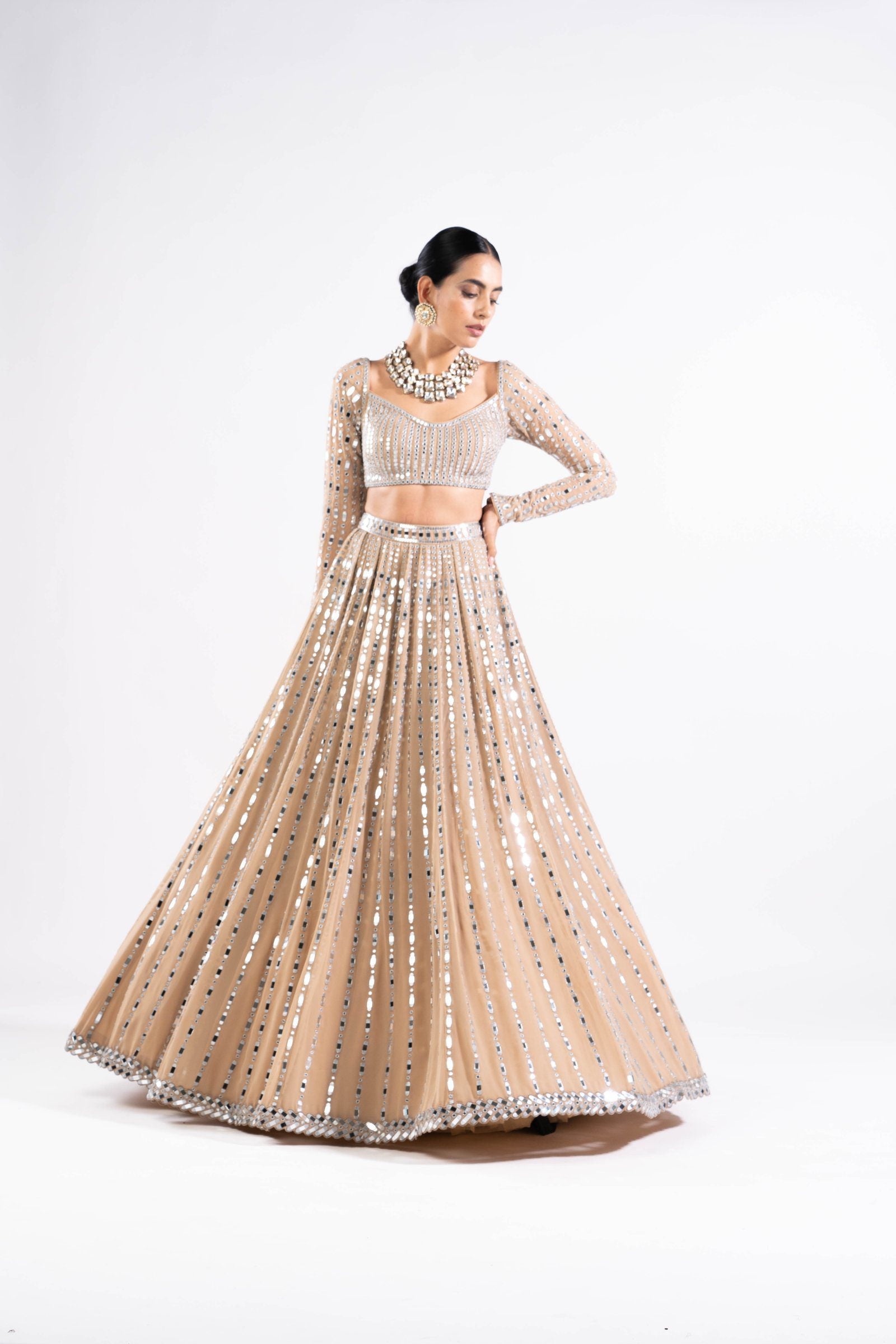 Vvani Vats,VASS LH 2324,Beige Linear Drop Lehenga Set