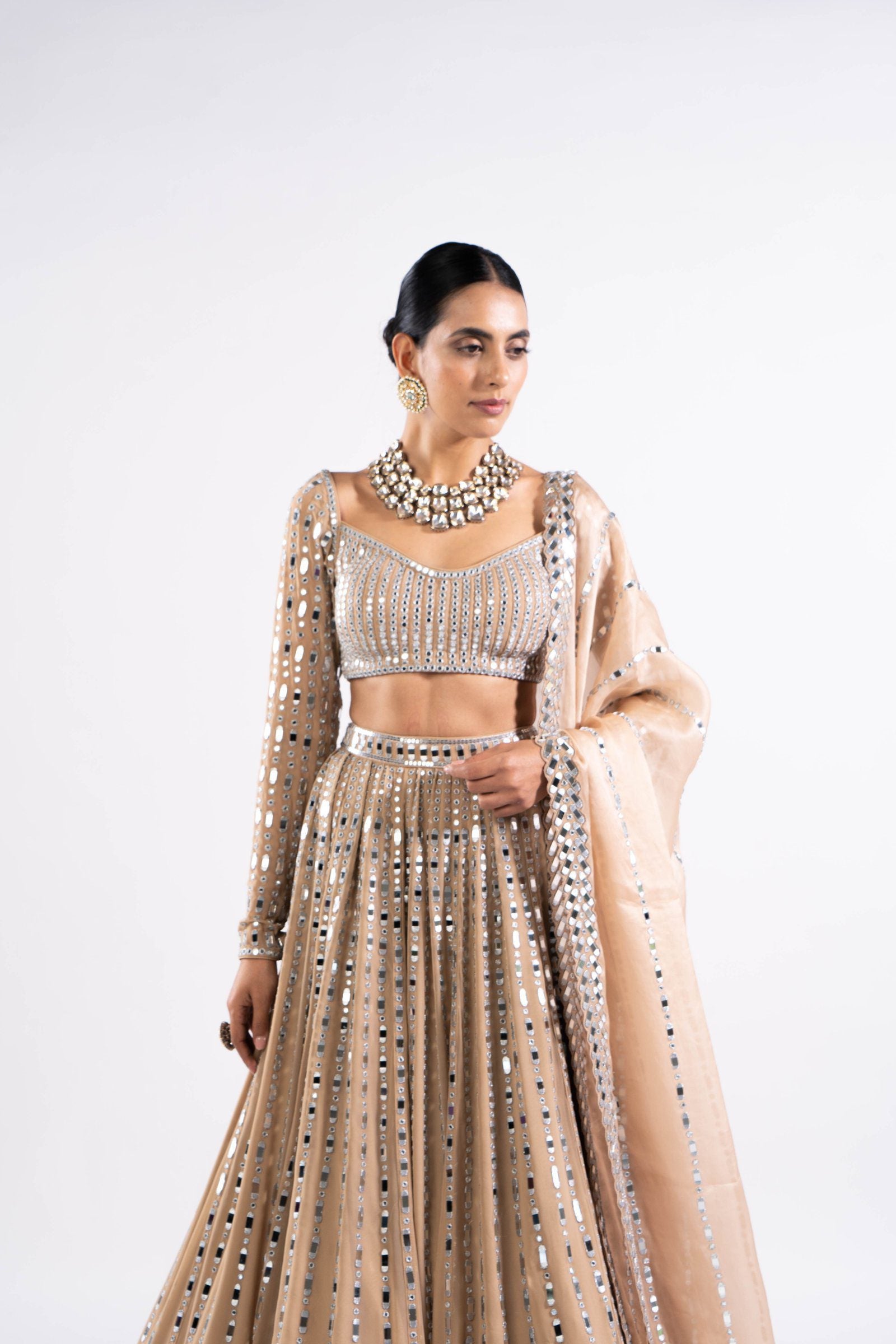 Vvani Vats,VASS LH 2324,Beige Linear Drop Lehenga Set