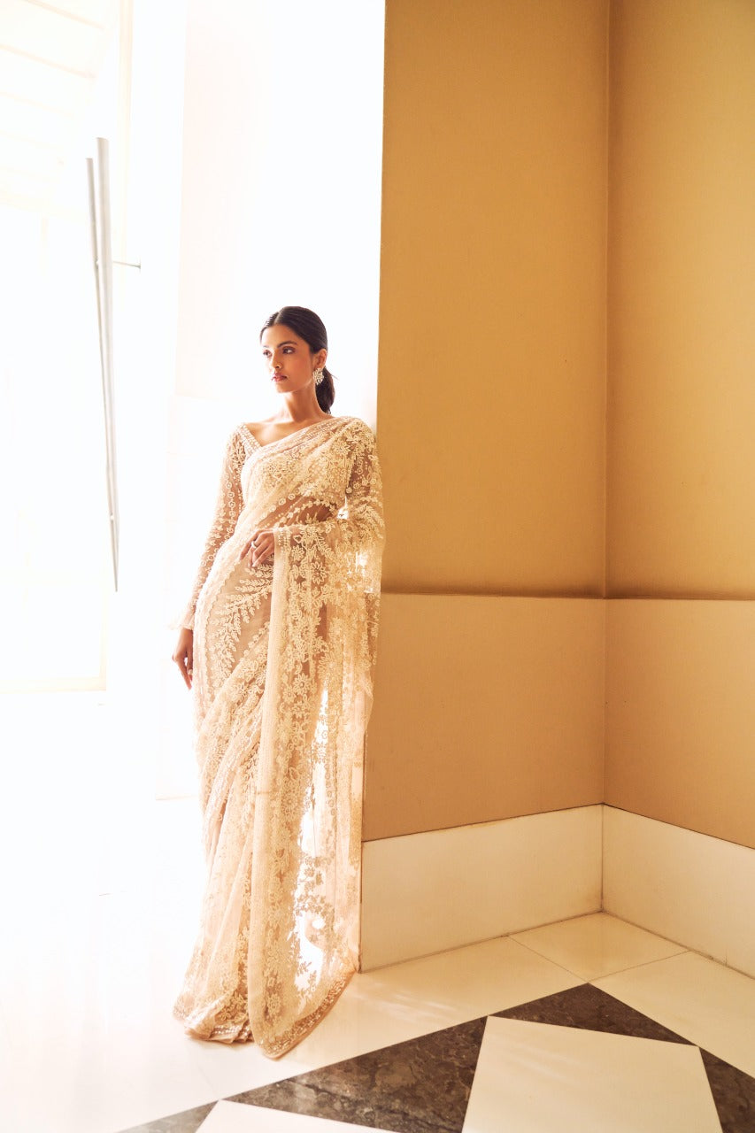 Nude Sequin Saree