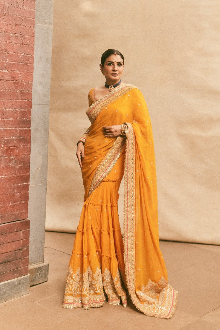 Dilruba Saree Set-Raveena Tandon