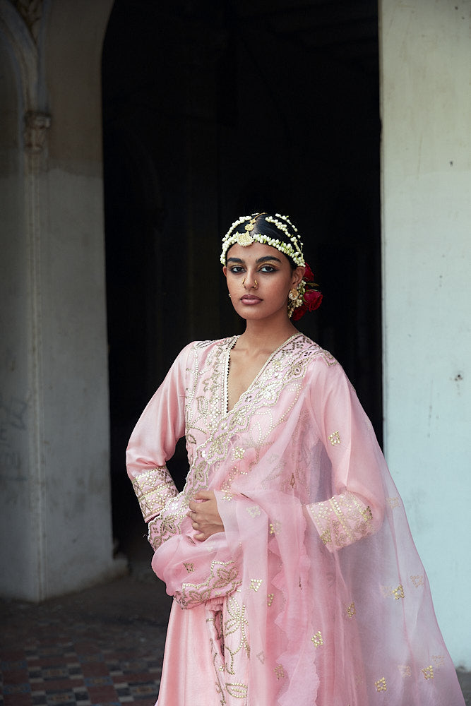 Ishanya Pallazo Set Pink